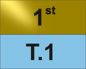 T.1 1v1 Tournament 1st Place