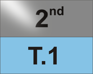 T.1 1v1 Tournament 2nd Place